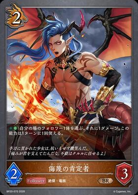 ドラゴンスター】シャドウバースエボルヴ日本最大級の通販サイト