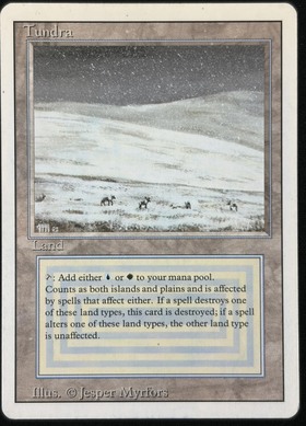 MTG Tundra 3ED EN 傷多 プレイ用 3ED)Tundra(MP)(EN)/(未訳) | 未登録 | ドラゴンスター | マジック：ザ