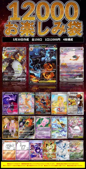 再来！リザードン祭り！】12000円お楽しみ袋 | 未登録 | ドラゴン