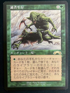 mtg 適者生存 2枚セット EXO)適者生存(MP)(JP)/SURVIVAL OF THE FITTEST | 未登録 | ドラゴン