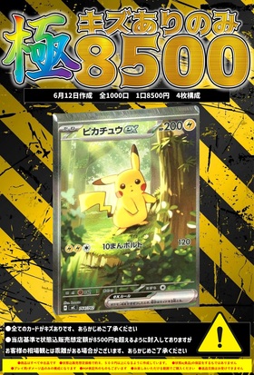 極】キズありのみ8500お楽しみ袋 | 未登録 | ドラゴンスター