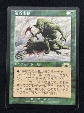 適者生存　エンチャント EXO)適者生存(MP-)(JP)/SURVIVAL OF THE FITTEST | 未登録 | ドラゴン