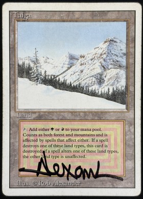 3ED)Taiga(MP)(EN)/(未訳) | 未登録 | ドラゴンスター | マジック：ザ