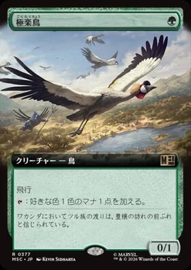 極楽鳥　第4版　PSA10 CN2)極楽鳥/BIRDS OF PARADISE | 神話レア・レア | ドラゴンスター