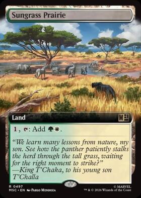 MSC)Sungrass Prairie(0270)(サージ)(F)/サングラスの大草原 | (FOIL