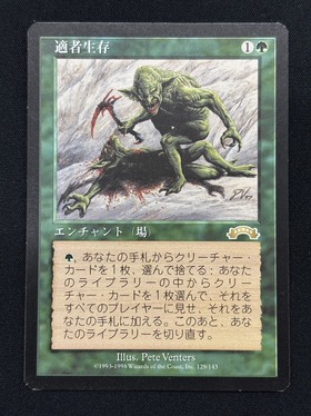 ア*生様 300円スタート　マジック・ザ・ギャザリング　適者生存　他8枚　まとめ EXO)適者生存(MP)(JP)/SURVIVAL OF THE FITTEST | 未登録 | ドラゴン