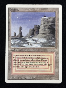 Plateau 商品検索 | ドラゴンスター | マジック：ザ・ギャザリング MTG
