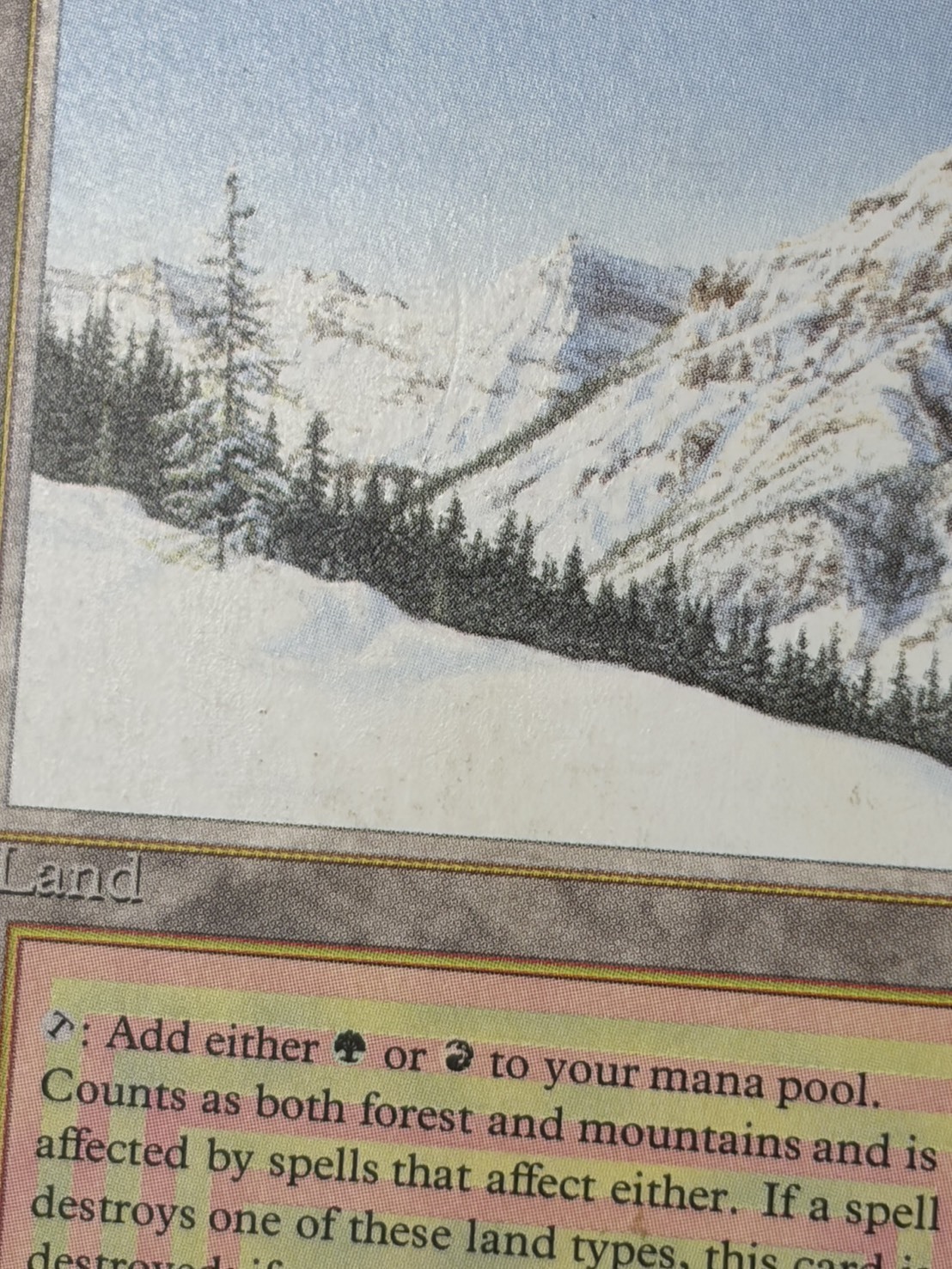 マジック：ザ・ギャザリング MTG Taiga HP 3ED)Taiga(MP)(EN)/(未訳) | 未登録 | ドラゴンスター | マジック：ザ