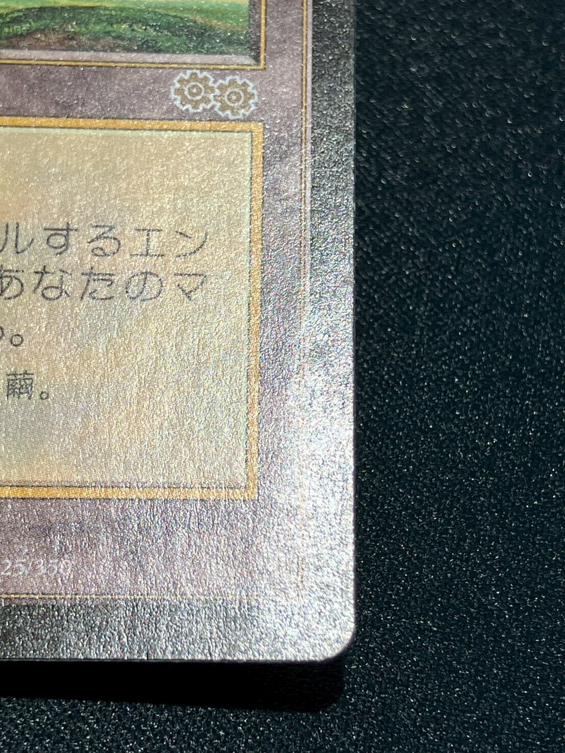 USG)セラの聖域（状態SP)(JP)/SERRA'S SANCTUM | 未登録 | ドラゴン