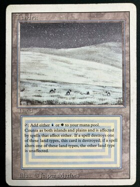 MTG Tundra 3ED EN 傷多 プレイ用 3ED)Tundra(HP)(EN)/(未訳) | 未登録 | ドラゴンスター | マジック：ザ