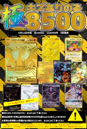 極】キズありのみ8500お楽しみ袋 | 未登録 | ドラゴンスター