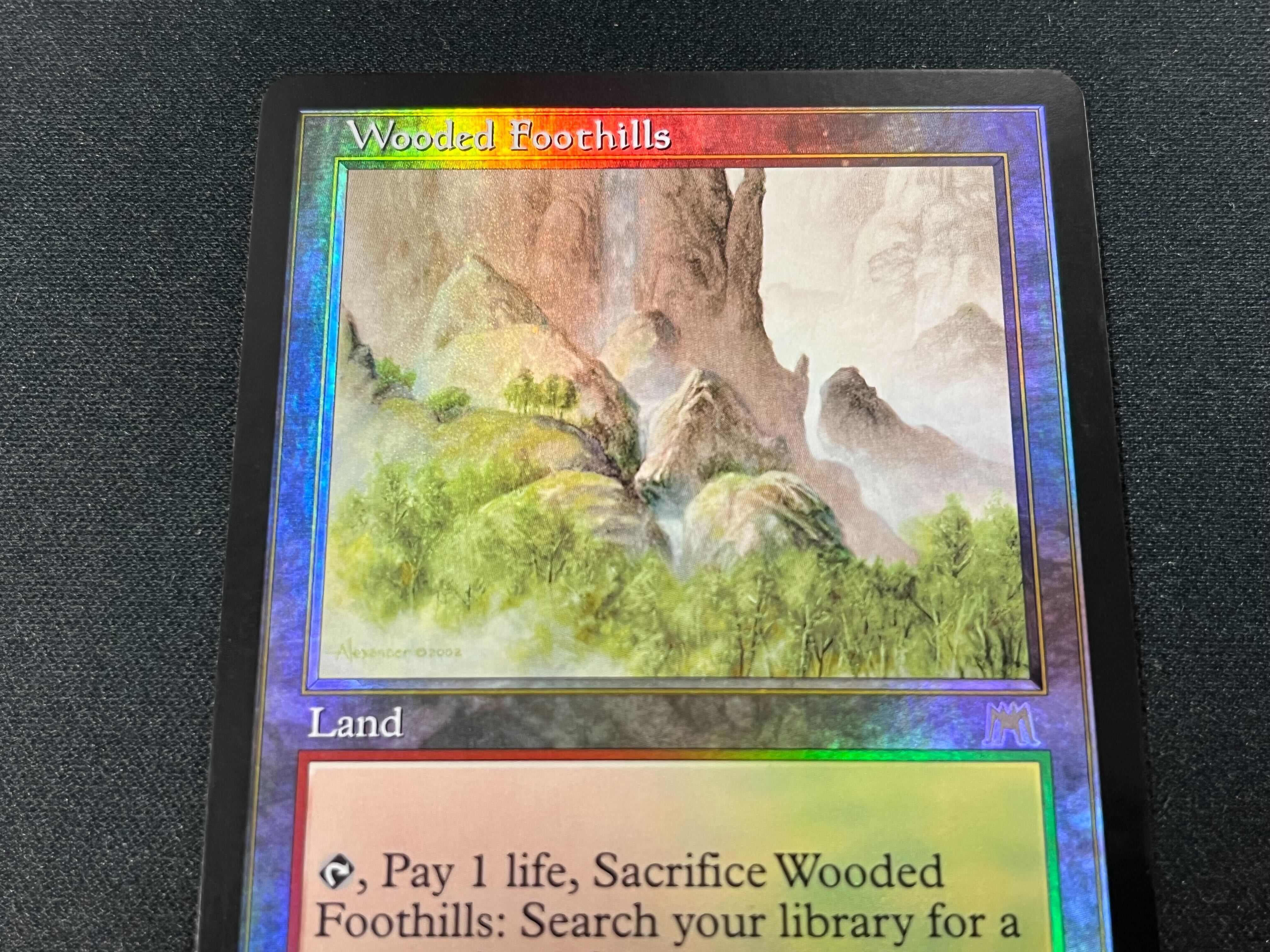 MTG 樹木茂る山麓 Wooded Foothillsエクスペディション - マジック：ザ 