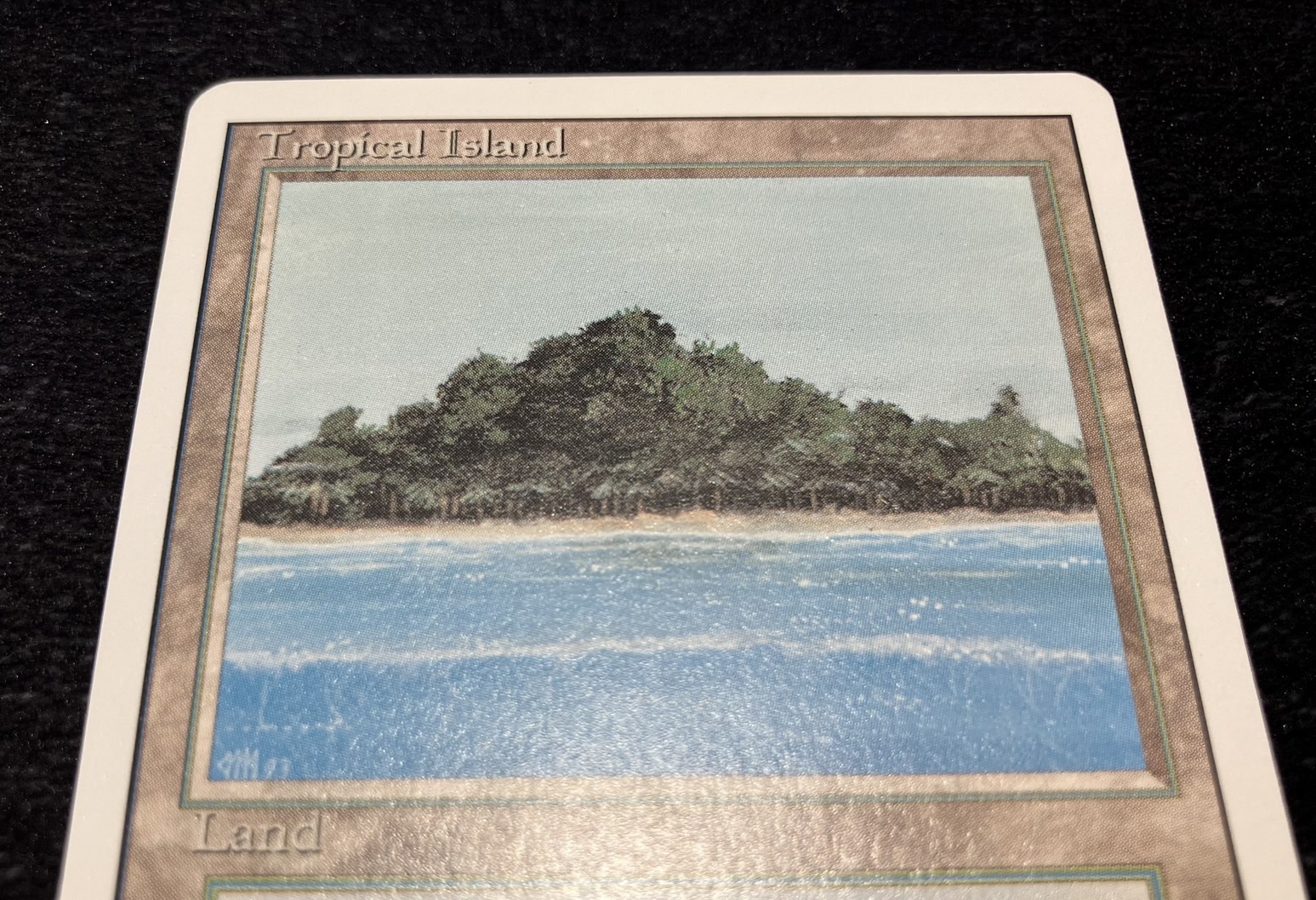 3ED)Tropical Island(NM)(EN)/(未訳) | 未登録 | ドラゴンスター 