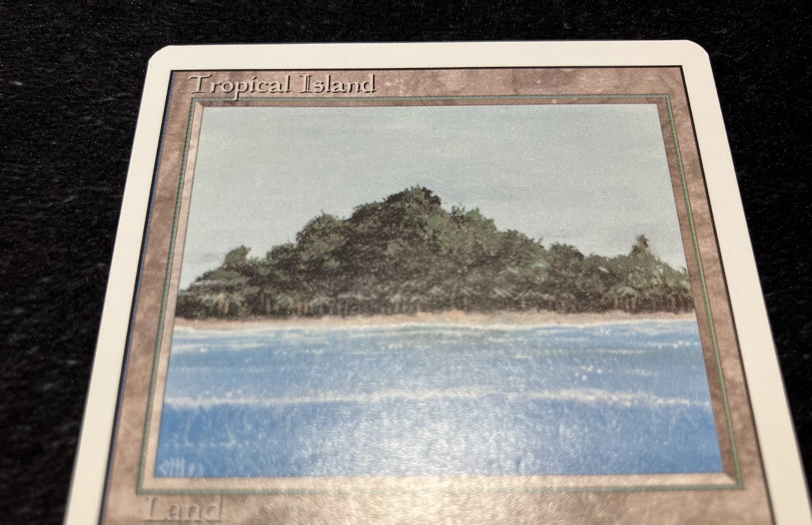 (3ED)Tropical Island(MP)(EN)/(未訳)