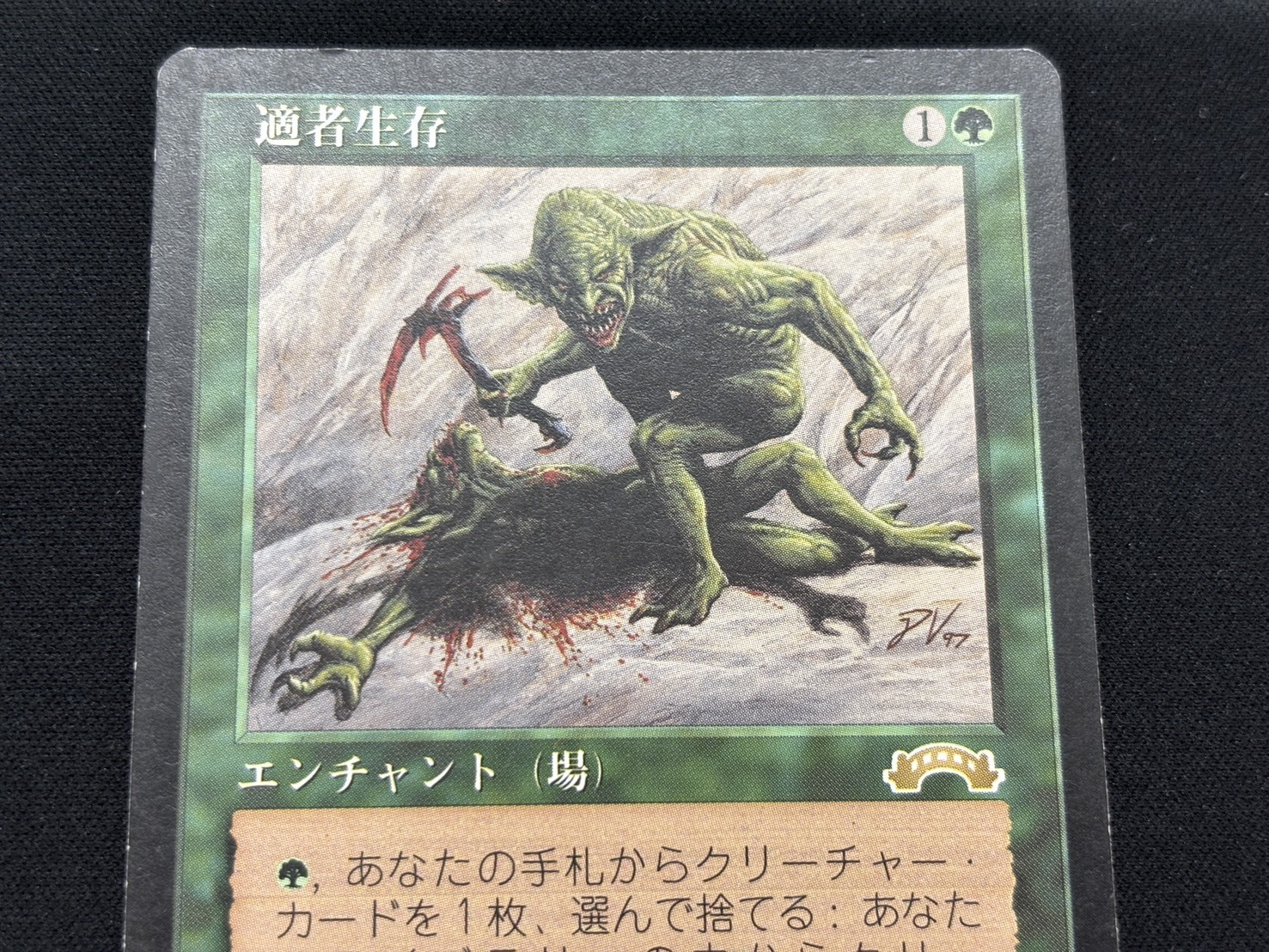適者生存　日本語版 MTG 適者生存 日本語 | DFK.QC.CA