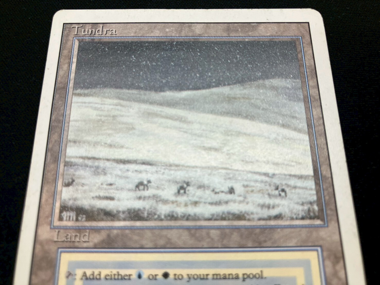 3ED)Tundra(HP-)(EN)/(未訳) | 未登録 | ドラゴンスター | マジック