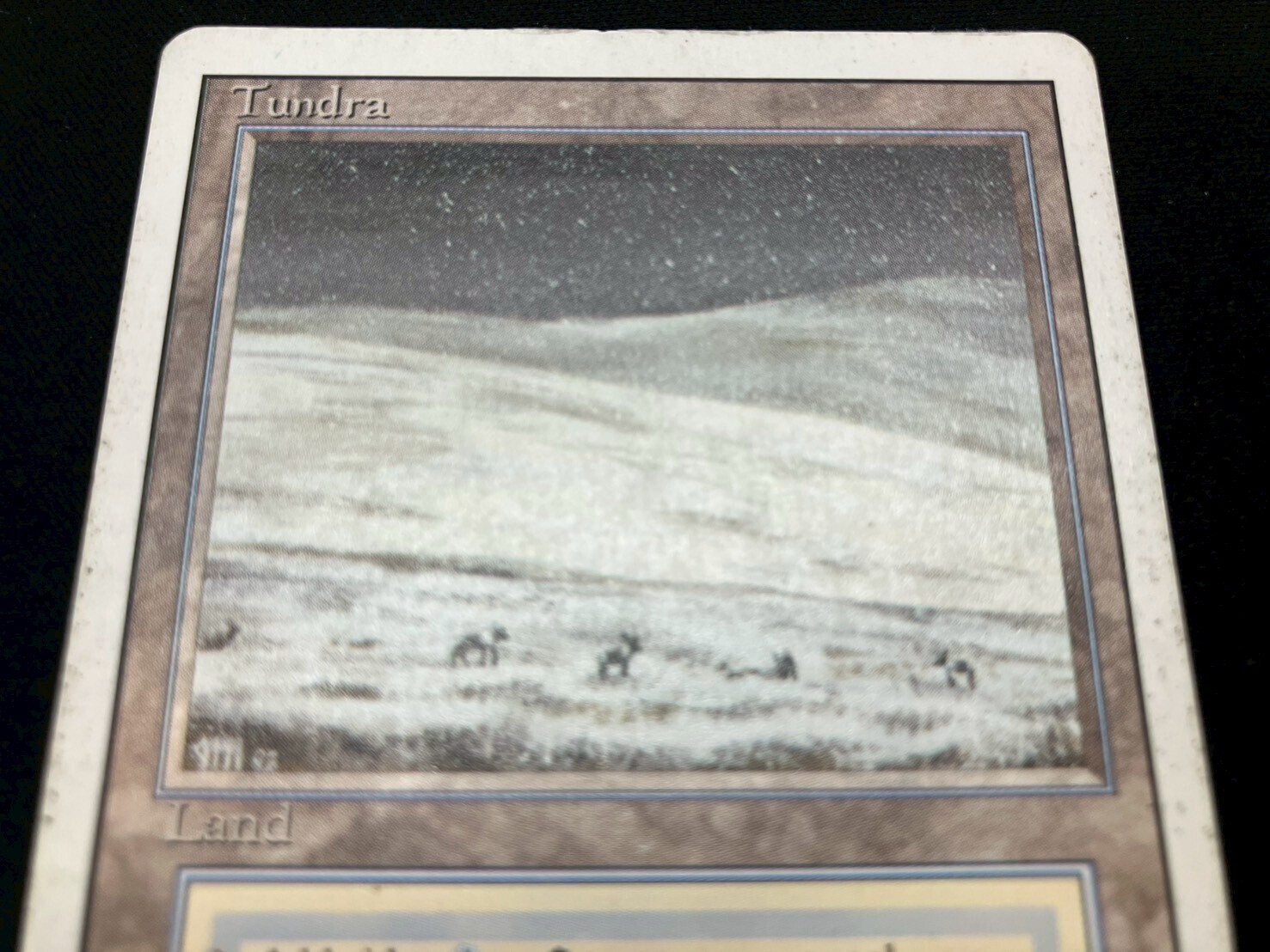 3ED)Tundra(HP-)(EN)/(未訳) | 未登録 | ドラゴンスター | マジック