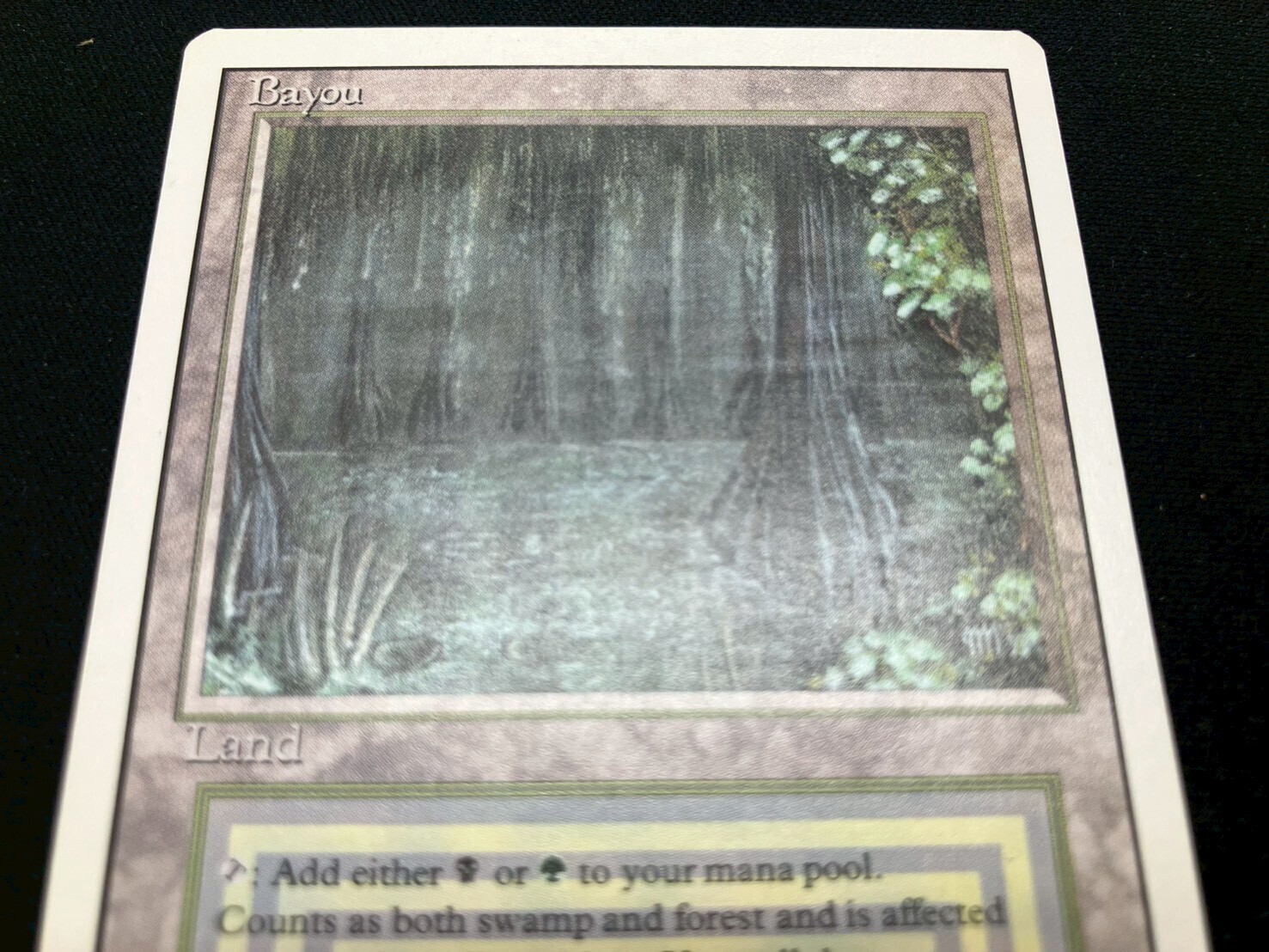 3ED)Bayou(NM)(EN)/(未訳) | 未登録 | ドラゴンスター | マジック：ザ