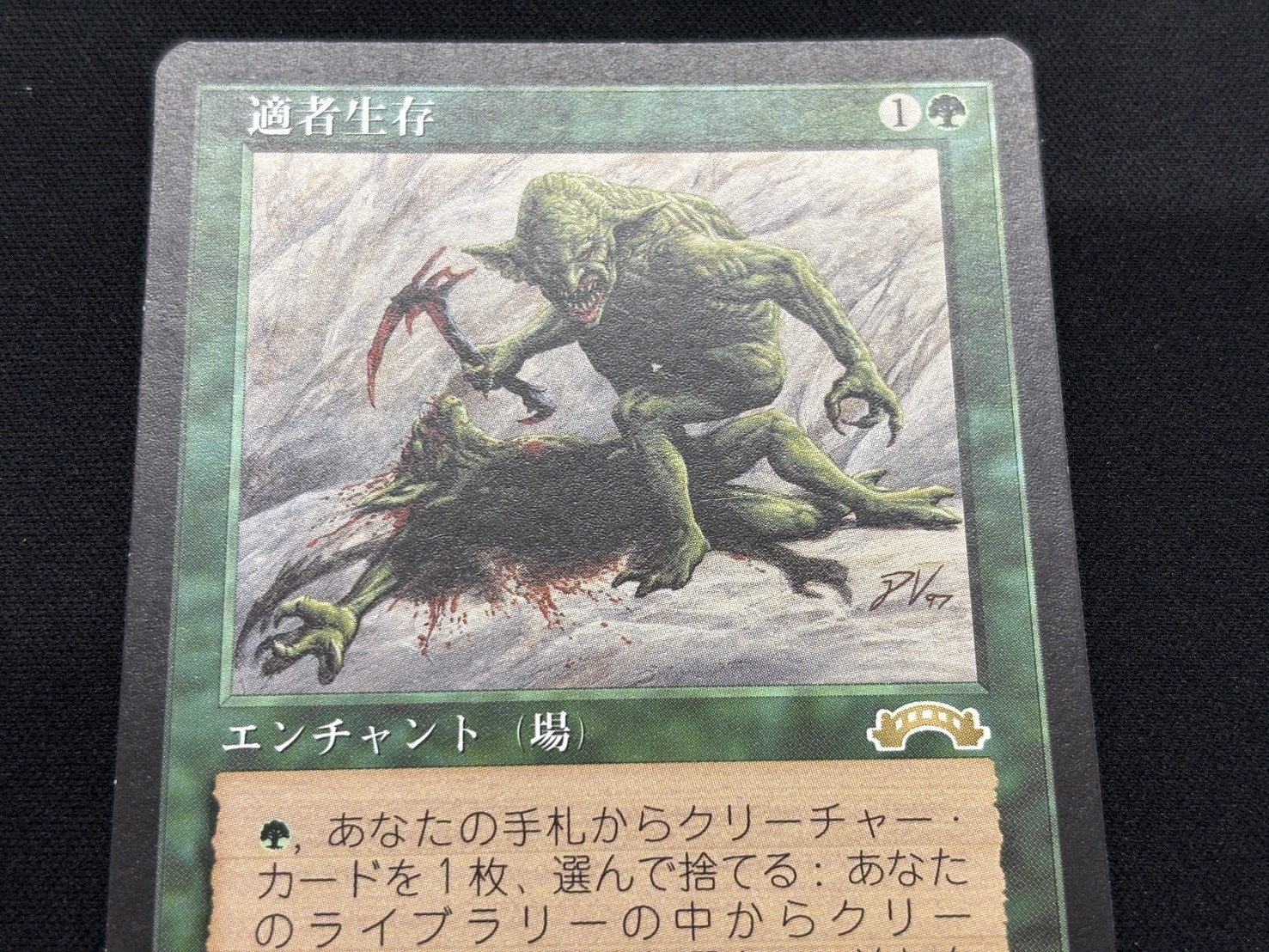 EXO)適者生存(MP)(JP)/SURVIVAL OF THE FITTEST | 未登録 | ドラゴン