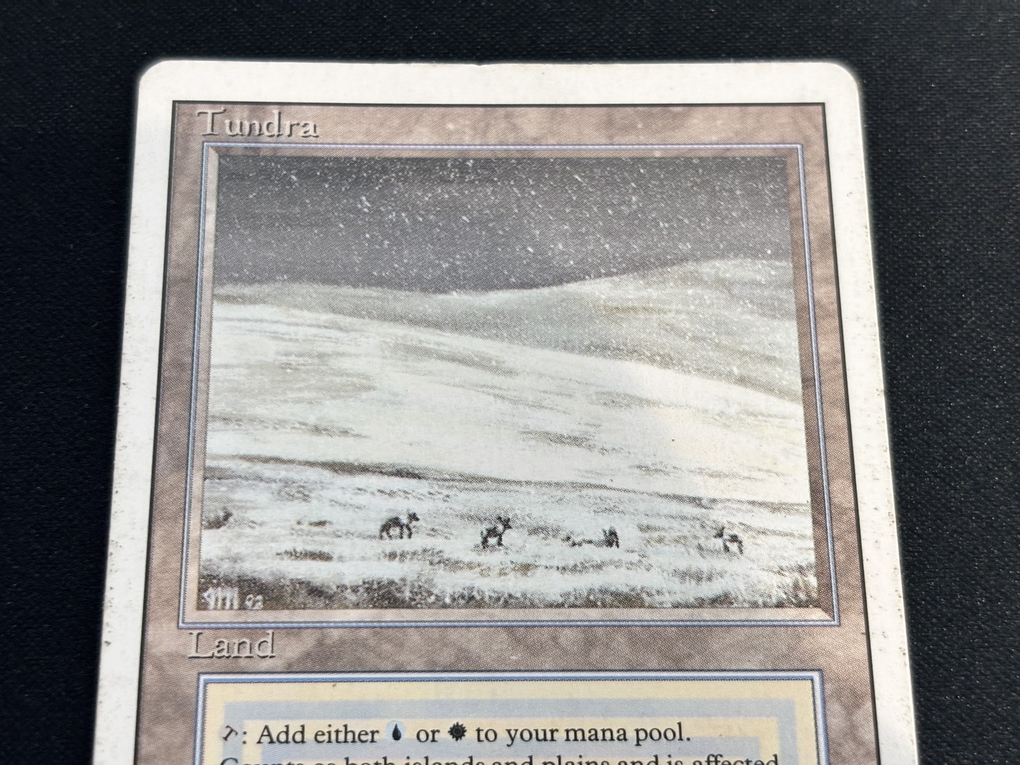 3ED)Tundra(MP-)(EN) | 未登録 | ドラゴンスター | マジック：ザ