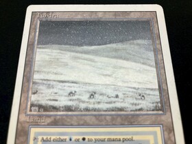 3ED)Tundra(HP-)(EN)/(未訳) | 未登録 | ドラゴンスター | マジック