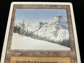3ED)Taiga(MP)(EN)/(未訳) | 未登録 | ドラゴンスター | マジック：ザ
