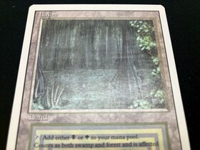 3ED)Bayou(NM)(EN)/(未訳) | 未登録 | ドラゴンスター | マジック：ザ