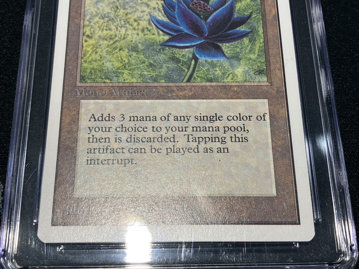 2ED)Black Lotus(CGC8.5)(EN)/ブラック・ロータス | 未登録 | ドラゴン