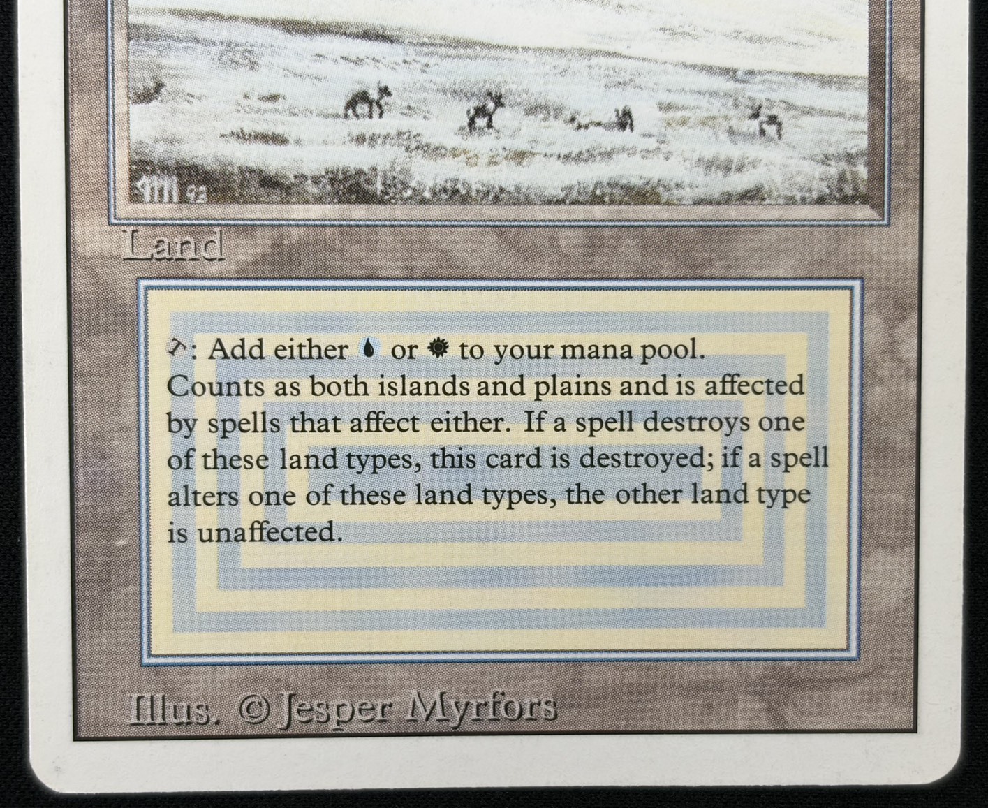 MTG Tundra 3ED EN 傷多 プレイ用 3ED)Tundra(状態SP-)(EN)/(未訳) | 未登録 | ドラゴンスター