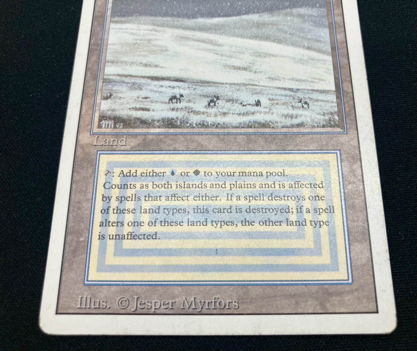 3ED)Tundra(HP-)(EN)/(未訳) | 未登録 | ドラゴンスター | マジック
