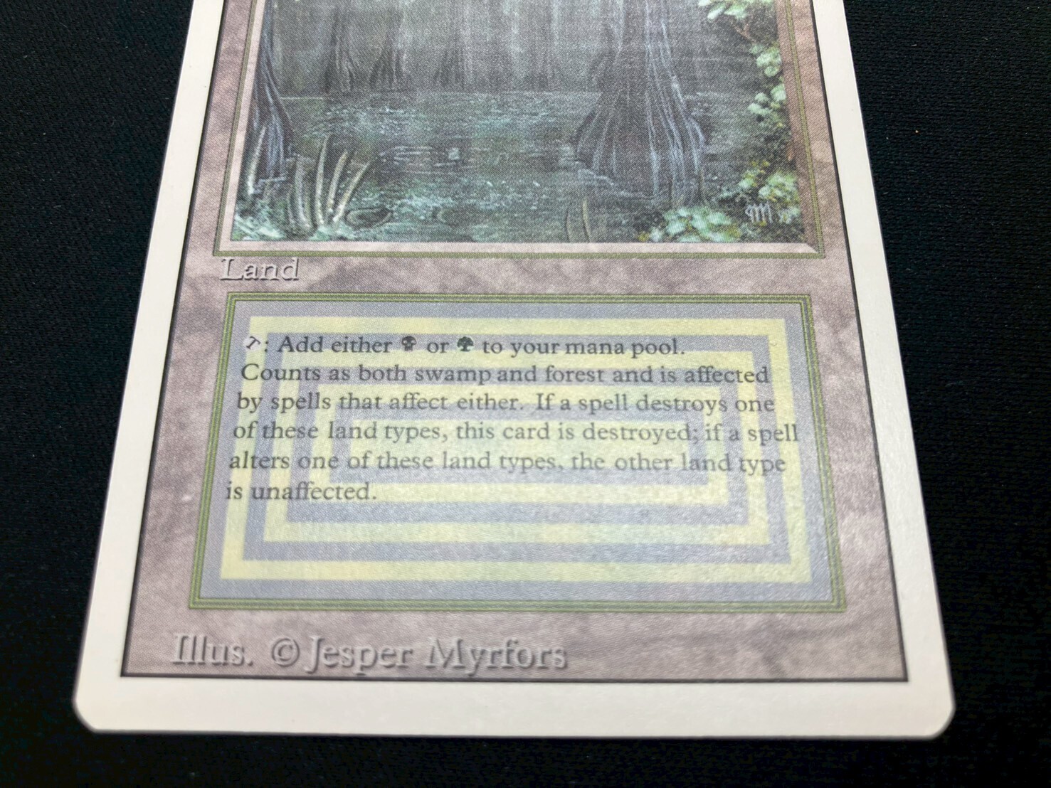 3ED)Bayou(NM)(EN)/(未訳) | 未登録 | ドラゴンスター | マジック：ザ