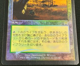 ONS)吹きさらしの荒野(F)(NM)(JP)/WINDSWEPT HEATH | 未登録